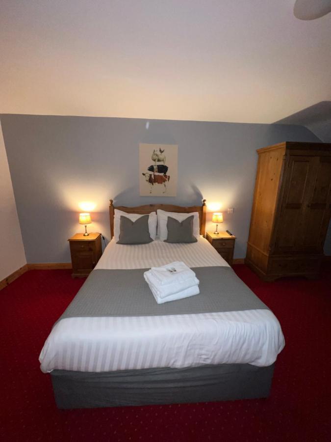 Dingle Marina Lodge מראה חיצוני תמונה